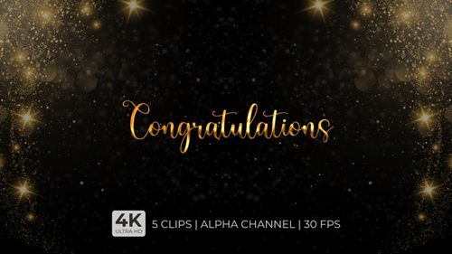 Elegant Gold Congratulations Text Reveal Animation