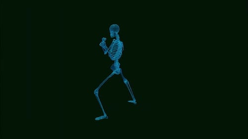 Skeleton v3