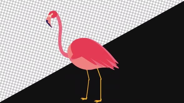 The Trigger Animation | Alpha , Backgrounds Motion Graphics ft. bird ...