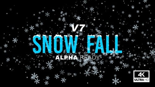 Schneefallschleife V7