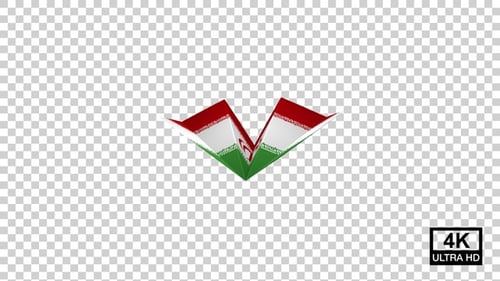 3D Paper Airplane with Iranian Flag Animation