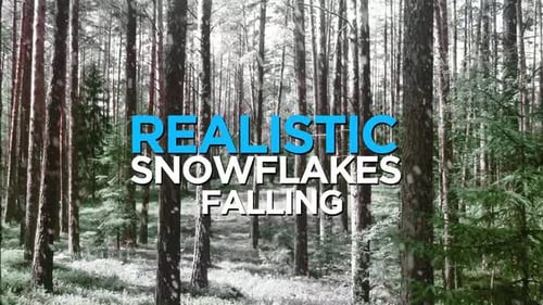 Realistic Snowflakes Falling Overlay with Alpha Channel