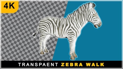 3D Realistic Render Cartoon Zebra Smooth Walking On Transparent Background