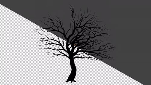 Animated Tree Growth and Shedding Silhouette