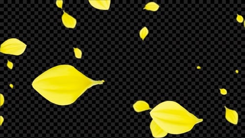 Superposition de pétales de rose Alpha V2