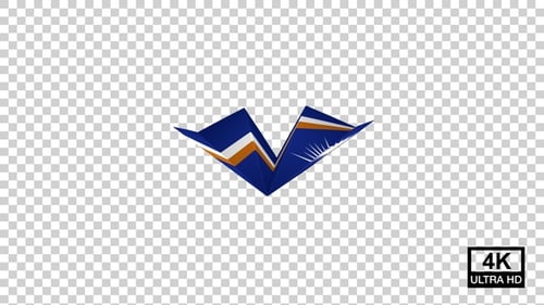 Avion en papier du drapeau des îles Marshall V3
