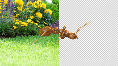 Ant Searching Food