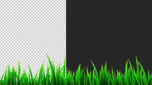 Grass Growing Garden Frame Alpha