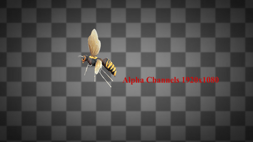 Hornet Insect Fly Alpha-Kanäle 2