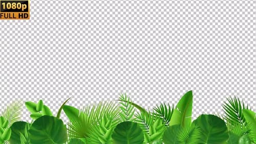 Tropical Leaves New | Alpha Channel