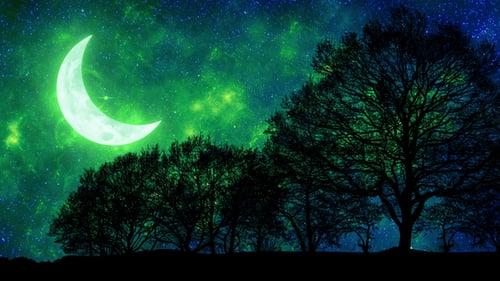 Beautiful Green Crescent Moon In Galaxy Sky Through Parallax Forest