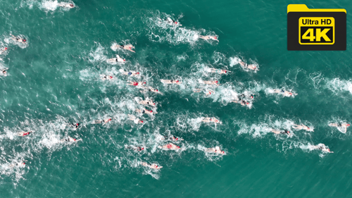 aerial view of swimmers racing in the sea