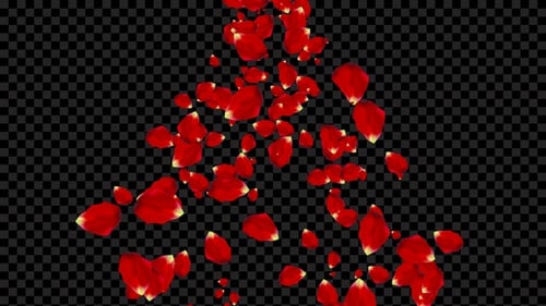 Falling Rose Petals V7