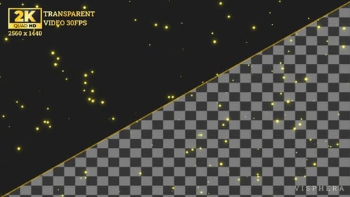 Fireflies | Looping | Alpha Channel (Transparent)