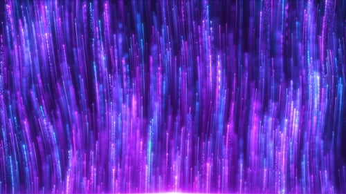 Purple Particle Lines Rise