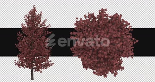 Animated Autumn Tree with Blowing Red Leaves