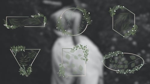 Pack Of Wedding Title Frames On Alpha