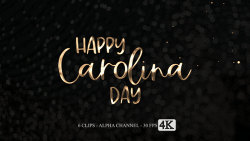 Elegant Metallic Script Text Reveal with Sparkle Particles