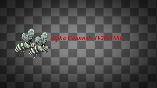 Realistic 3D Bee Flying Animation