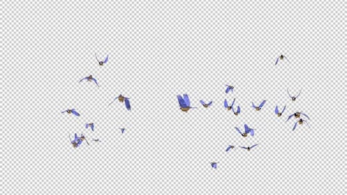 Blue Titmouse Birds - Large Flock - Flying Around - Transparent Loop