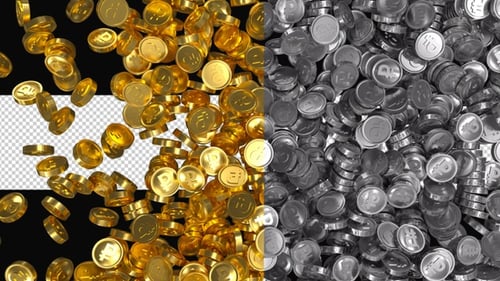 Animated 3D Coins Alpha Channel Reveal