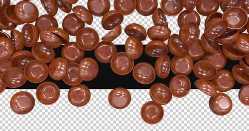 3d Bowl Wooden Transition Animation