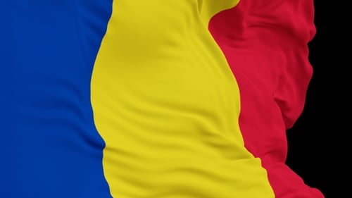 Realistic Vertical Waving Flag with Alpha Channel