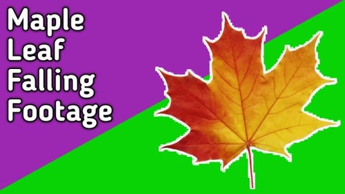 Falling Autumn Leaves Seamless Loop Overlay