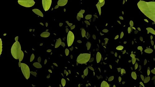 Dynamic Green Leaves Falling Particle Overlay