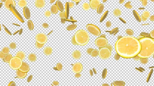 Falling Lemon Slices Animation Background on Alpha Channel, Loop