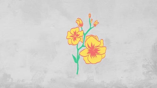 Hand Drawn Blooming Flowers Sketch Animation Pack