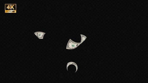 Falling One Hundred Dollar Bills Animation