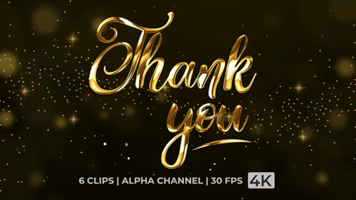 Shiny Gold and Metallic Thank You Text Reveal