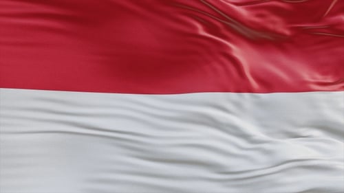 Seamless Waving Red and White Flag Loop Background