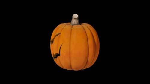 Halloween Pumpkin Carving Reveal with Alpha Channel