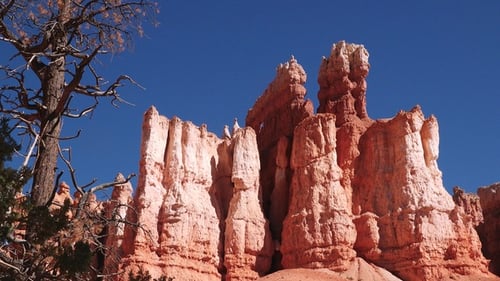 Stunning views overlook the unique rock formations and vibrant colors of the Bryce Canyon landscape