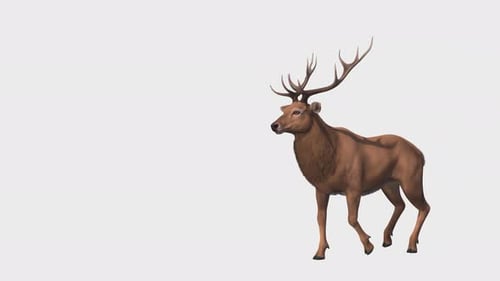 Hirsch- oder Hirschanimation. 3D-Rendering mit Alphakanal.