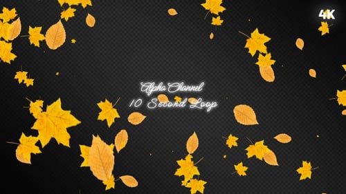 Natural Falling Autumn Leaves Alpha Channel