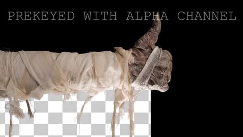 Mummy Arm Thumbs Up on Black Background