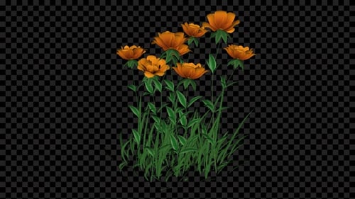 Animated Growing Grass and Orange Flowers Reveal
