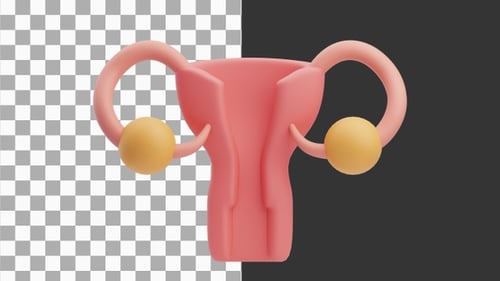 3D Animation of Advances in Uterus-Related Medical Research | Alpha Channel