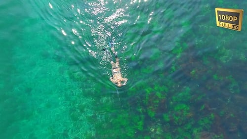 Man swims and dives in the sea 31