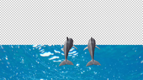 Delphin Swiming Idle, Rückansicht 2