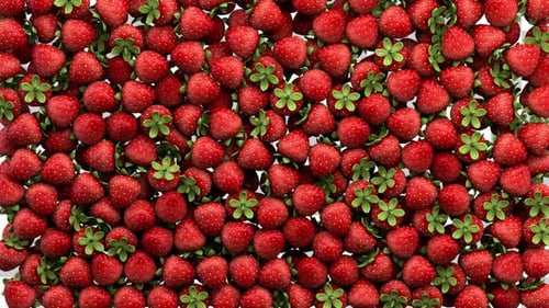 Falling Strawberry Transition