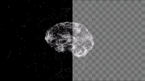 Plexus Brain Alpha Animation