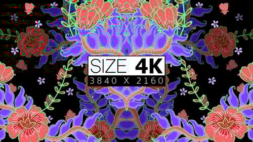 Vibrant Decorative Floral Pattern Loop Animation