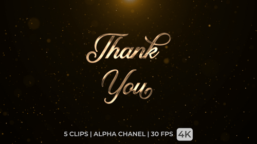 Elegant Write-On Script Thank You Text Animation Overlay Multi-Color