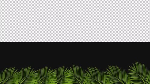 Palm Leaves Animation | Alpha Channel