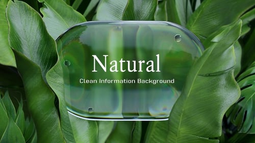 Animated Transparent Liquid Element with Light Refractions in Nature