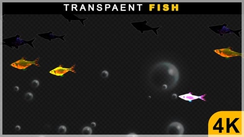 Transparente kleine Fische im Cartoon-Stil, die mit Blasen unter Wasser schwimmen